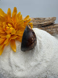 Indonesian shell
