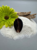 Indonesian shell