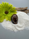 Indonesian shell