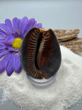 Indonesian shell