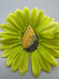 Bumblebee Jasper Cabochon
