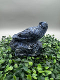 Sodalite Bird ♥️