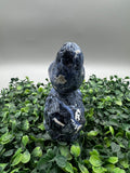 Sodalite Bird ♥️