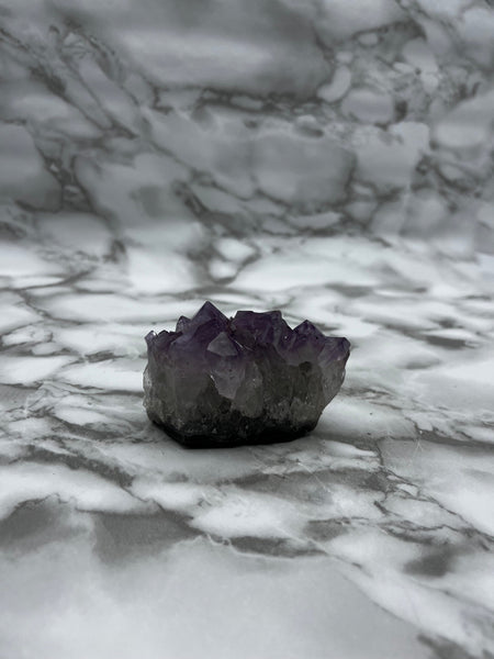 Amethyst Cluster Specimen