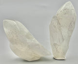 Clear Quartz Point