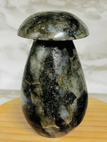 Labradorite Mushroom Carving