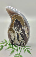 Amethyst Druzy Specimen