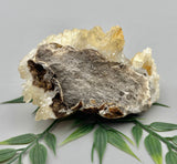 Honey Calcite Specimen