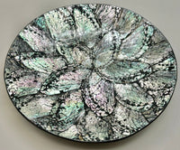 Australian Abalone Shell Plate (Medium)