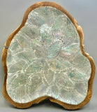 Australian Wood And Shell Dish