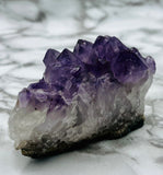 Amethyst Cluster Specimen