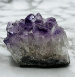 Amethyst Cluster Specimen