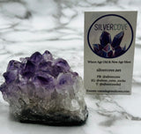 Amethyst Cluster Specimen