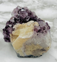Amethyst Cluster Specimen
