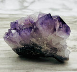 Amethyst Cluster Specimen