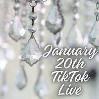 audra861 January 20th TikTok Live 2024