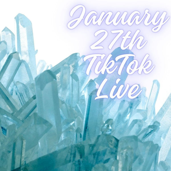 lisapayne369 January 27th TikTok Live 2024