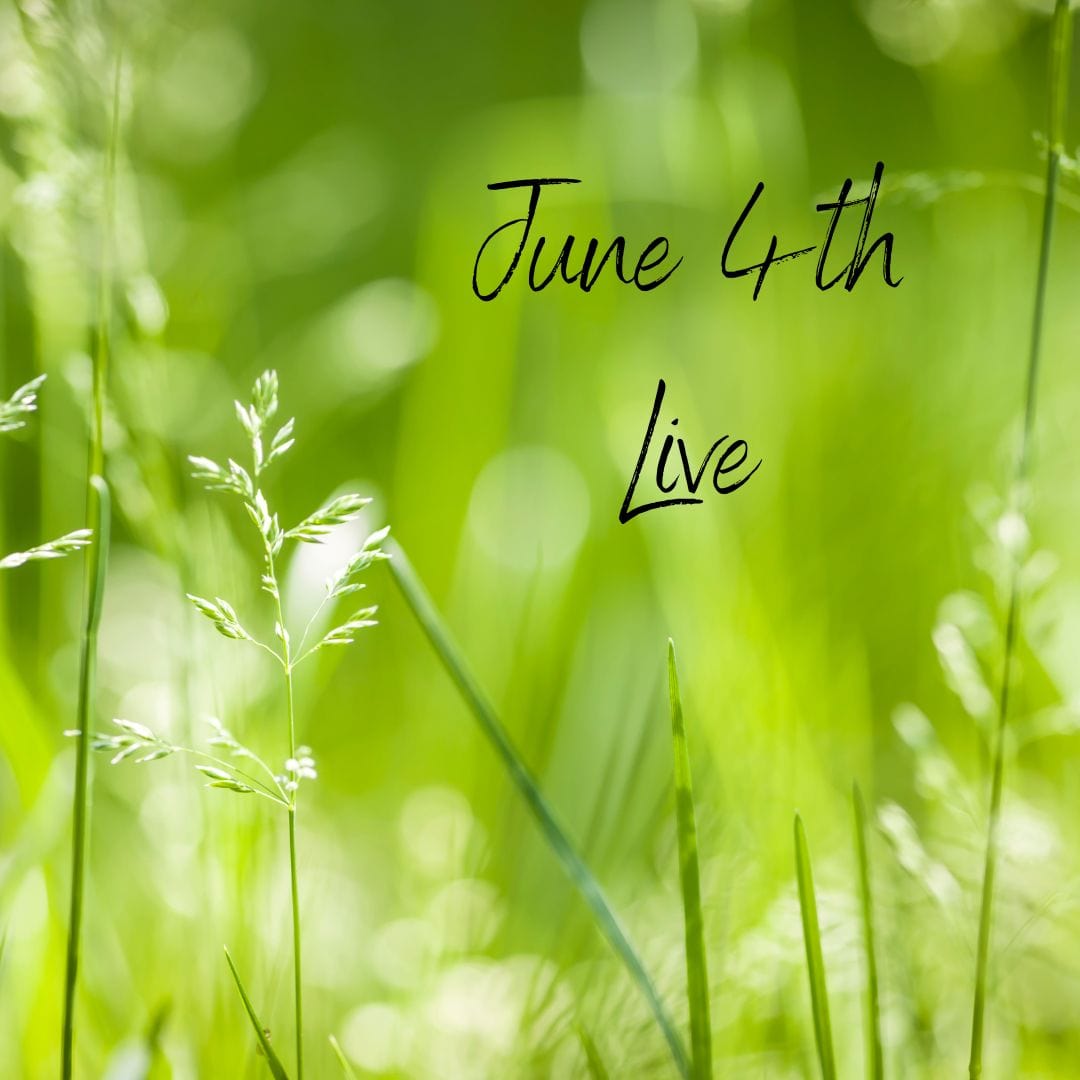 the-witch-who-loves-crows-june-4th-live-2024-silver-cove-ltd-online