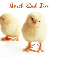 14741 March 23rd Live 2024