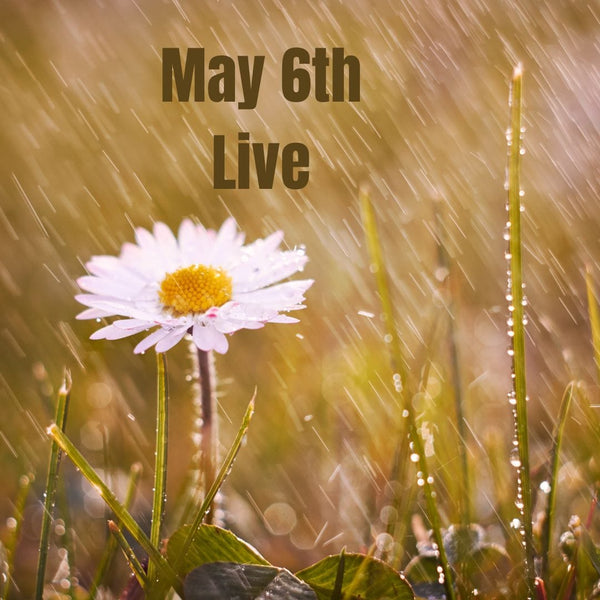 ann_smitty May 6th Live 2024