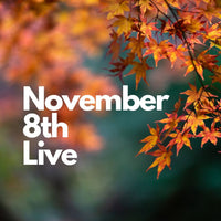 13133 November 8th Live 2023