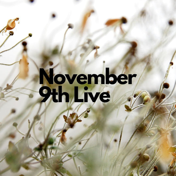 15950 November 9th Live 2023