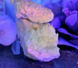 Calcite Specimen