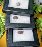 Colombianite (Ancient Obsidian)