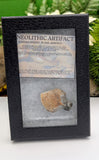 Neolithic Artifact
