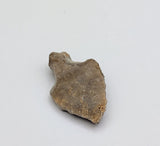 Neolithic Artifact