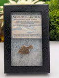 Neolithic Artifact