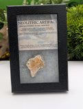 Neolithic Artifact