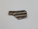 Arizona Pottery Shard