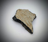 Arizona Pottery Shard