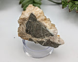 Calcite and Dolomite Specimen