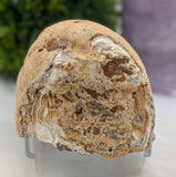 Brazilian Agate