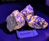 Wernerite