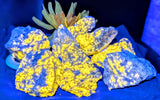 Wernerite