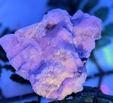 Fluorescent Calcite and Galena