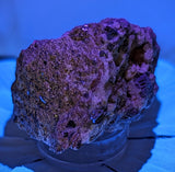 Fluorescent Calcite and Galena