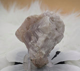 Fluorescent Calcite and Galena