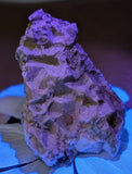 Fluorescent Calcite and Galena