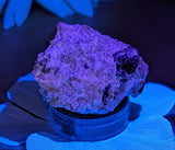 Fluorescent Calcite and Galena