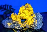 Wernerite