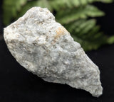 Melonite