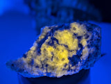 Melonite