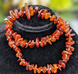 Baltic Amber Bead Necklace