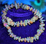 Baltic Amber Bead Necklace