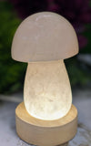 Rose Quartz Mushroom Carving