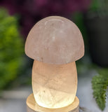 Rose Quartz Mushroom Carving ♥️
